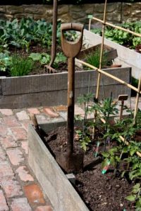 Community Gardeners Gather Image